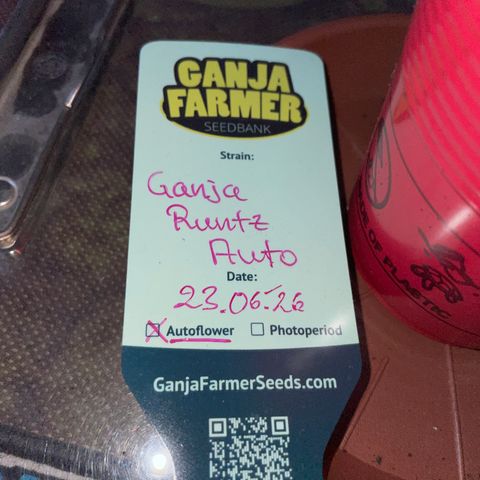 Ganja Runtz Auto - by KilliczGe  growlog timeline photo