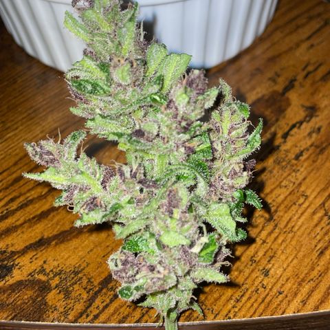 Purple Cookies XL Auto - by KilliczGe  growlog timeline photo