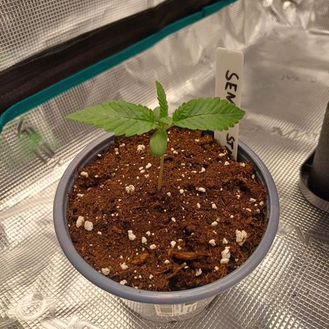 Baby#1 Buddy♥️ growlog timeline photo
