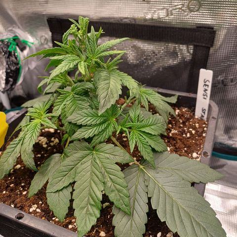 Baby#1 Buddy♥️ growlog timeline photo