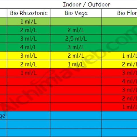 Royal gorillia  growlog timeline photo