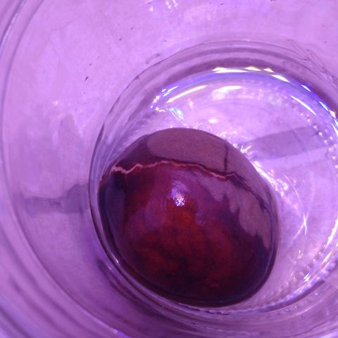 Unknown strain growlog photo: Avocado bulging