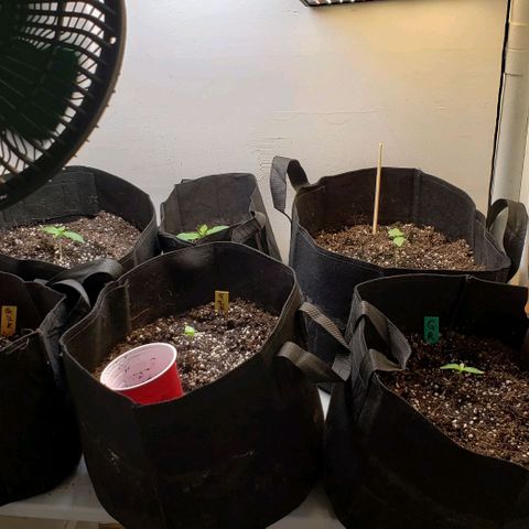 CSL #1 growlog photo: Ghostryder Hotel