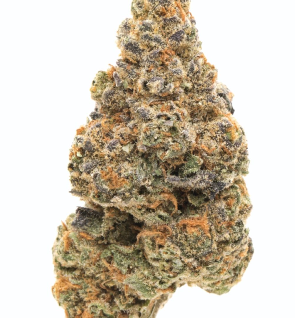 Girl Scout cookies #2 growlog header