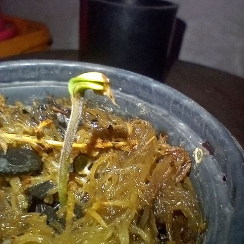 ✨Maria e Juana✨❤️ growlog timeline photo