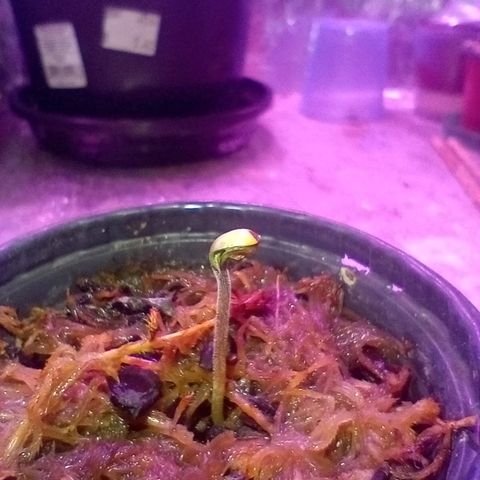 ✨Maria e Juana✨❤️ growlog timeline photo