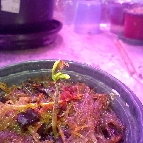 ✨Maria e Juana✨❤️ growlog timeline photo