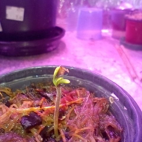 ✨Maria e Juana✨❤️ growlog timeline photo