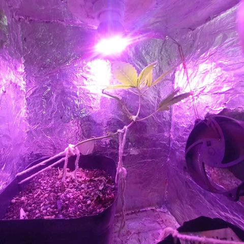 ✨Maria e Juana✨❤️ growlog timeline photo