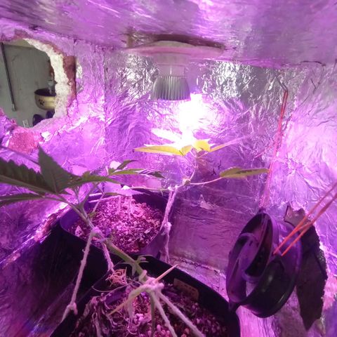 ✨Maria e Juana✨❤️ growlog timeline photo