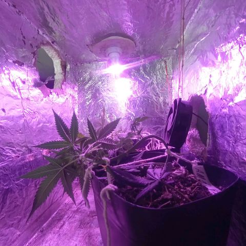 ✨Maria e Juana✨❤️ growlog timeline photo