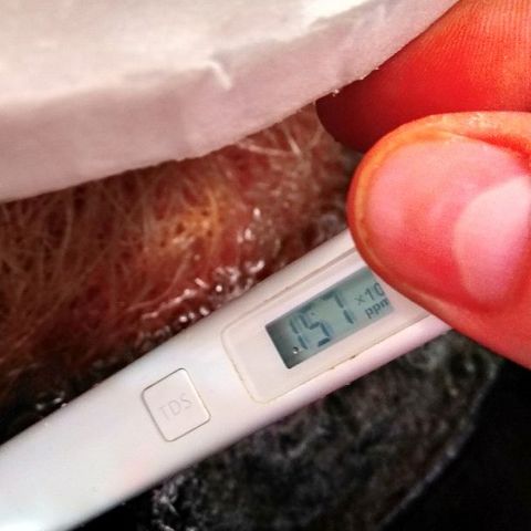 Auto Northern Lights growlog timeline photo