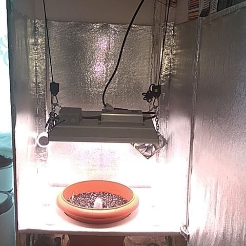 Auto Northern Lights growlog photo: Первый день от каски, 