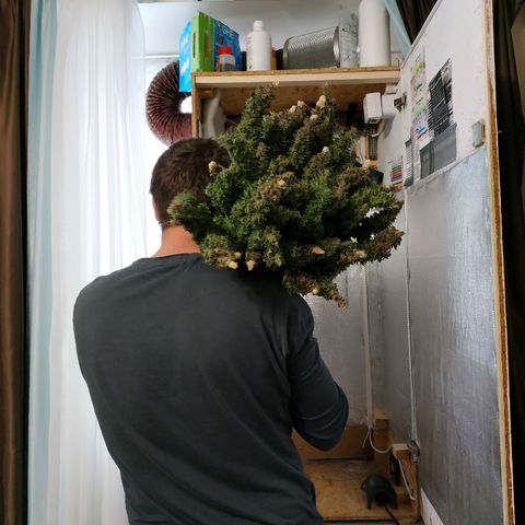 Auto Northern Lights growlog photo: Фотки за зиму 2019/2020