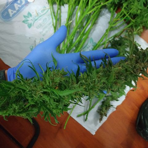 Auto Northern Lights growlog photo: Фотки за зиму 2019/2020