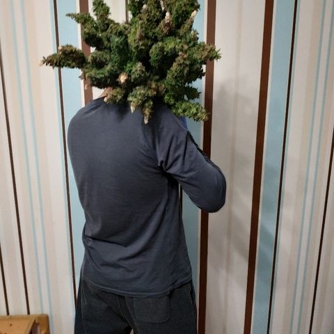 Auto Northern Lights growlog photo: Фотки за зиму 2019/2020