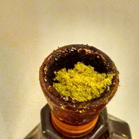 Auto Northern Lights growlog timeline photo