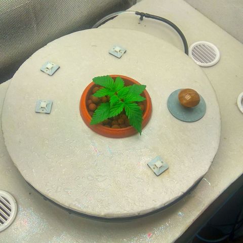 Cinderella 99  growlog timeline photo