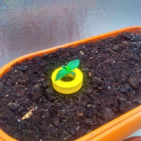 auto eX. treme, error seeds #2 growlog timeline photo