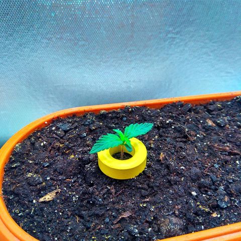 auto eX. treme, error seeds #2 growlog timeline photo