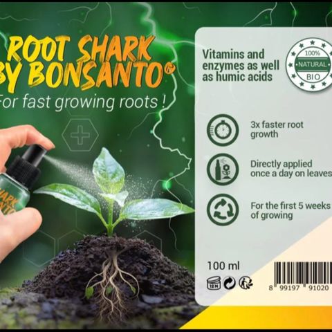 Minigrow One LSD25/CherryCola auto „Mando-Boba-Guard“ growlog timeline photo