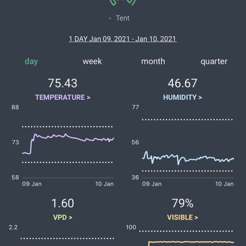Pine tree haze auto growlog photo: Tent readings