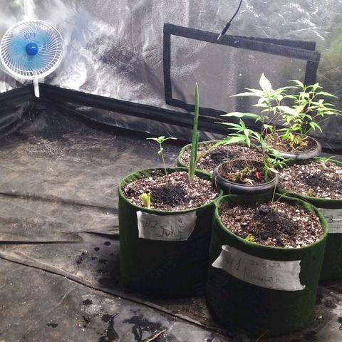#01 - Marrenta growlog photo: Joguei a 1 para o lado direito, pra vê se bate menos vento, evitando de cair de novo. 