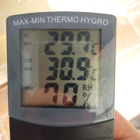 Cajurema growlog photo: VPD150