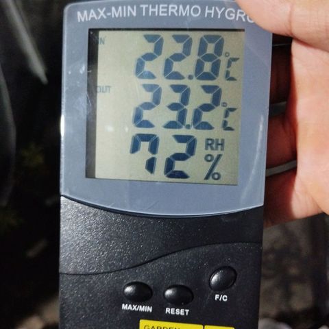Cajurema growlog timeline photo