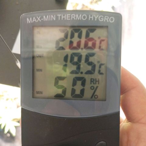 Cajurema growlog photo: VPD 150