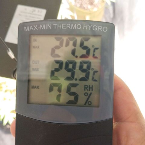 Cajurema growlog photo: VPD 150