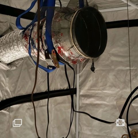 SLH growlog photo: Homemade ventilation fan...😉