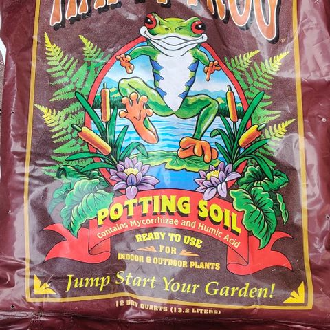 Blue Dream Auto growlog photo: Transplant: was running low on Happy Frog potting soil so the decision was made that this topsoil would be used to pre-fill the pot and then topped off with Happy Frog.