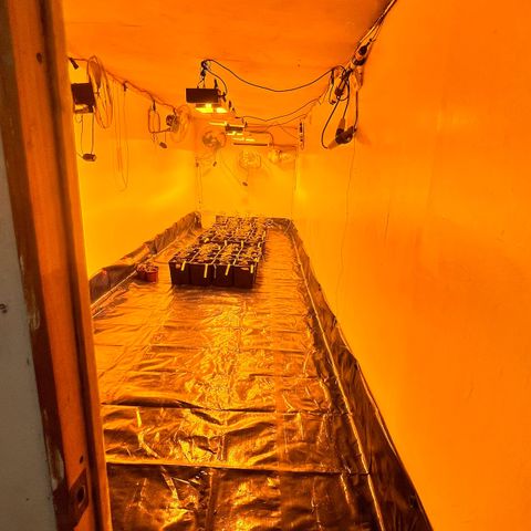 Proyecto 4.0 -Enchulada  growlog timeline photo