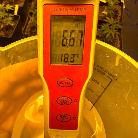 Proyecto 4.0 -Enchulada  growlog timeline photo