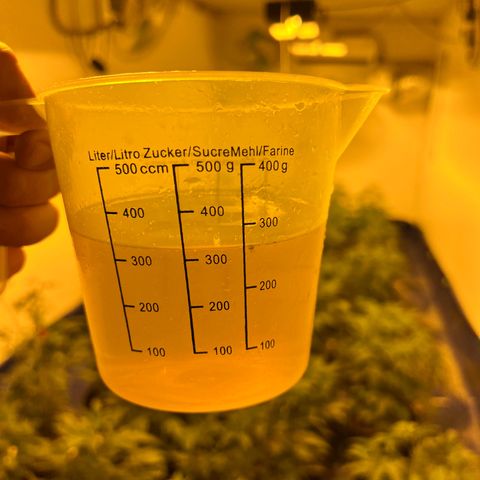 Proyecto 4.0 -Enchulada  growlog timeline photo