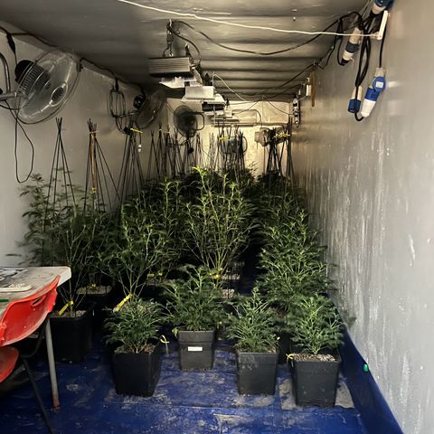Proyecto 4.0 -Enchulada  growlog timeline photo