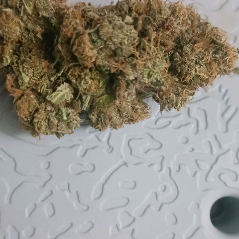 Sticky growlog timeline photo