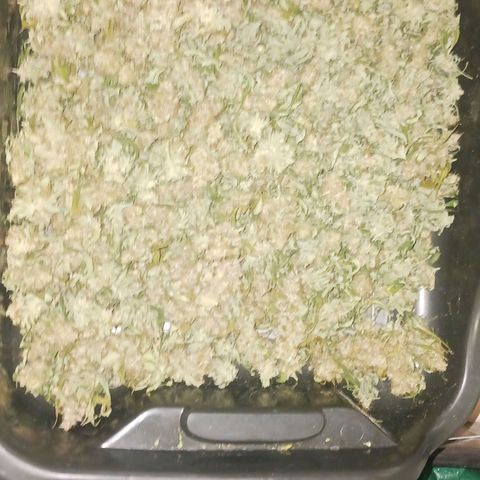 Sticky growlog timeline photo