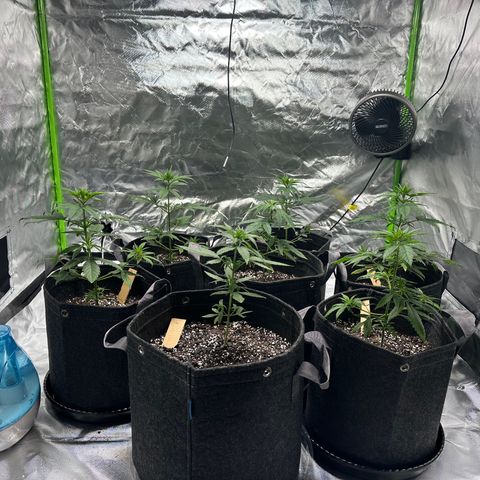 Colombia growlog timeline photo