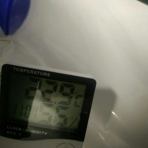 A.M.S #2 growlog timeline photo