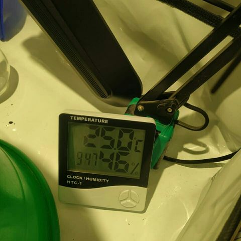 A.M.S #2 growlog photo: Темп поднялась 
