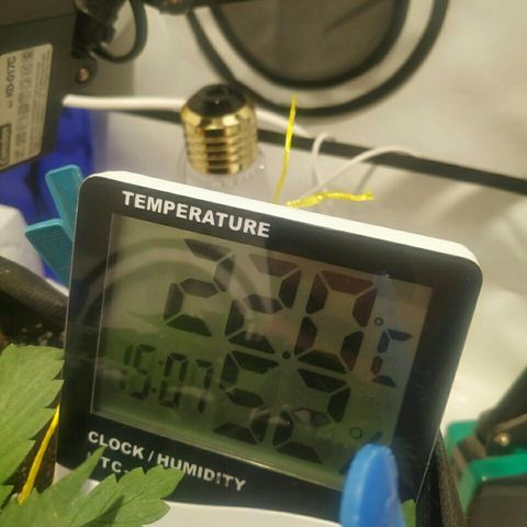 A.M.S #2 growlog timeline photo