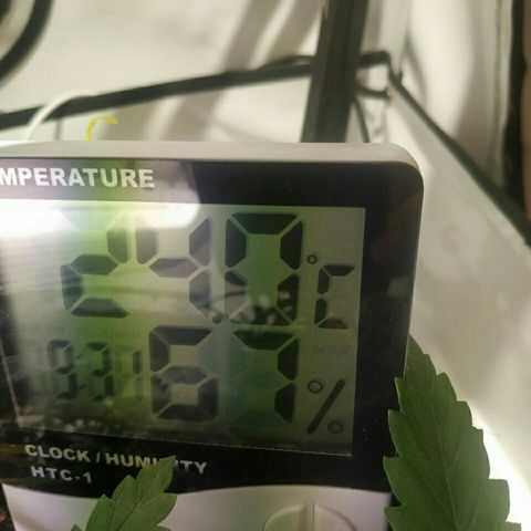 A.M.S #2 growlog timeline photo