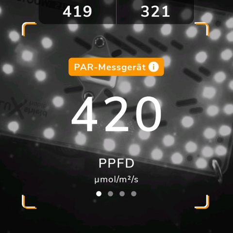 Dance world cbd growlog timeline photo