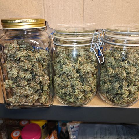 Quick One growlog timeline photo
