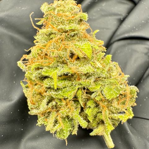 Royal Runtz Automatic growlog timeline photo