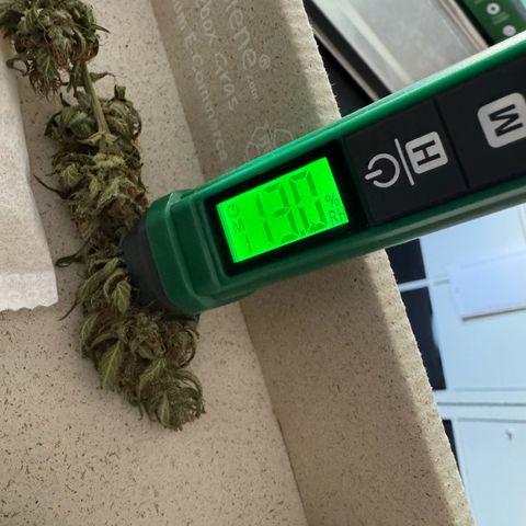 Hulkberry Automatic growlog timeline photo