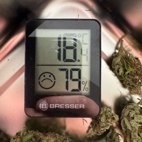 Hulkberry Automatic growlog timeline photo