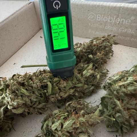 Hulkberry Automatic growlog timeline photo
